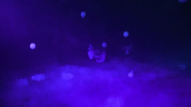 Hurricane Bubble Haze By CHAUVET DJ