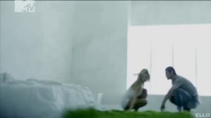 Смена логотипа на белый цвет (MTV 01.08.2026 06:00)