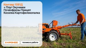 Мотоблок Кентавр 1081Д в работе