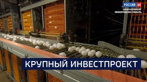 ВЕСТИ 24  Санкт-Петербург от 07.08.2026
