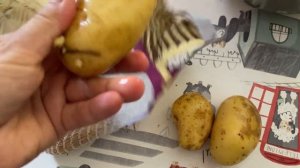БАСНОСЛОВНЫЕ ЗАРАБОТКИ ПОЛИЧКИ ПОКА СИРОЖА ПАШЕТ КАК РАБ НА ГАЛЕРАХ, А Я ПЬЮ ВИТАМИНЫ И РАЩУ ЯЧМЕНЬ
