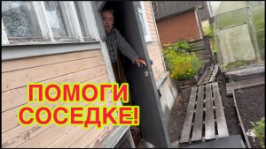 6/8 26  ЗВОНИТ, ПРОСИТ ПОМОЧЬ.  СКАЗКА ПРО СВЁКЛУ. СПАЛА С МАЯ  ДО ИЮЛЯ. КОРМЛЮ  ОГУРЦЫ КЕФИРОМ