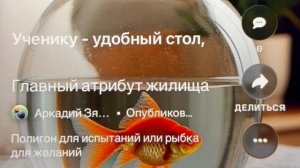 «Главный атрибут жилища» полигон для испытаний или рыбка для желаний