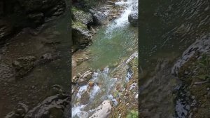 Гуамское ущелье  . Адыгея.