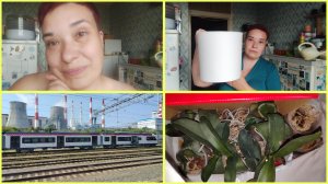 67/2026 ДОБРОЕ УТРО😉! ПОКУПКИ ИЗ СВЕТОФОРА. МОСКВА ИЗ ОКНА ПОЕЗДА. КУПИЛА УБИТЫЕ ОРХИДЕИ...