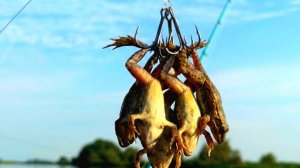 ОНИ ПРОСТО ИХ ЗАГЛАТЫВАЮТ ЛУЧШАЯ НАСАДКА рыбалка в диких местах Астрахани