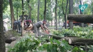 В Смоленске устраняют последствия непогоды