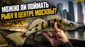 СТРИТФИШИНГ: КАК ЛОВИТЬ РЫБУ НЕ ВЫЕЗЖАЯ ИЗ ГОРОДА