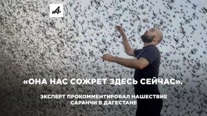 Александр Мохов: «Мы не работаем в театре — мы служим»