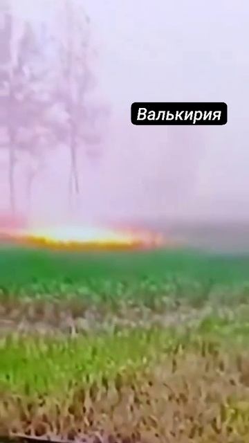 1785499674010.mp4