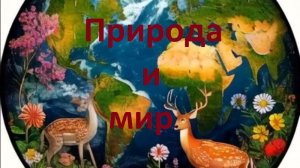Природа и Мир.  Познавательные сюжеты. 4