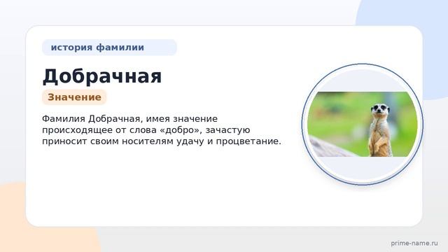 Фамилия Добрачная: происхождение, значение и склонение