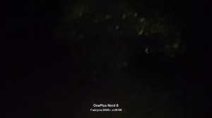 наконец видео! история про блинчика