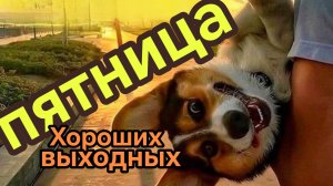 С пятницей! Чудесных выходных. Шикарная музыкальная открытка.