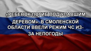 «Ребенок погиб под упавшим деревом». В Смоленской области ввели режим ЧС из-за непогоды