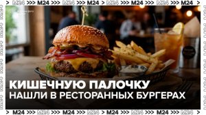 В бургерах популярных столичных заведений нашли кишечную палочку - Москва 24