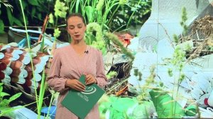 Долгов по имущественным налогам у орловских физлиц стало меньше.