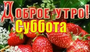*** «ВЫХОДНОЙ» - ИЛЬЯ ПОДСТРЕЛОВ ***ДОБРОЕ УТРО СУББОТЫ ***