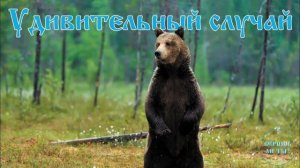 Чудо на Камчатке: Молитва vs Медведь! Реальная история спасения