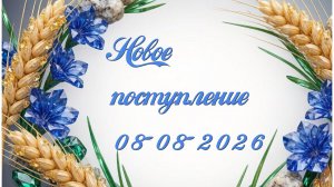 Новое поступление 08-08-2026