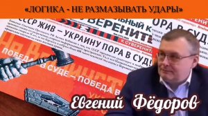 Евгений Фёдоров: «Логика - не размазывать удары»