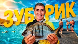 Рыбалка на Зубаря в Чёрном море. УРА!!! Я его словил. Рыба Каракос.
