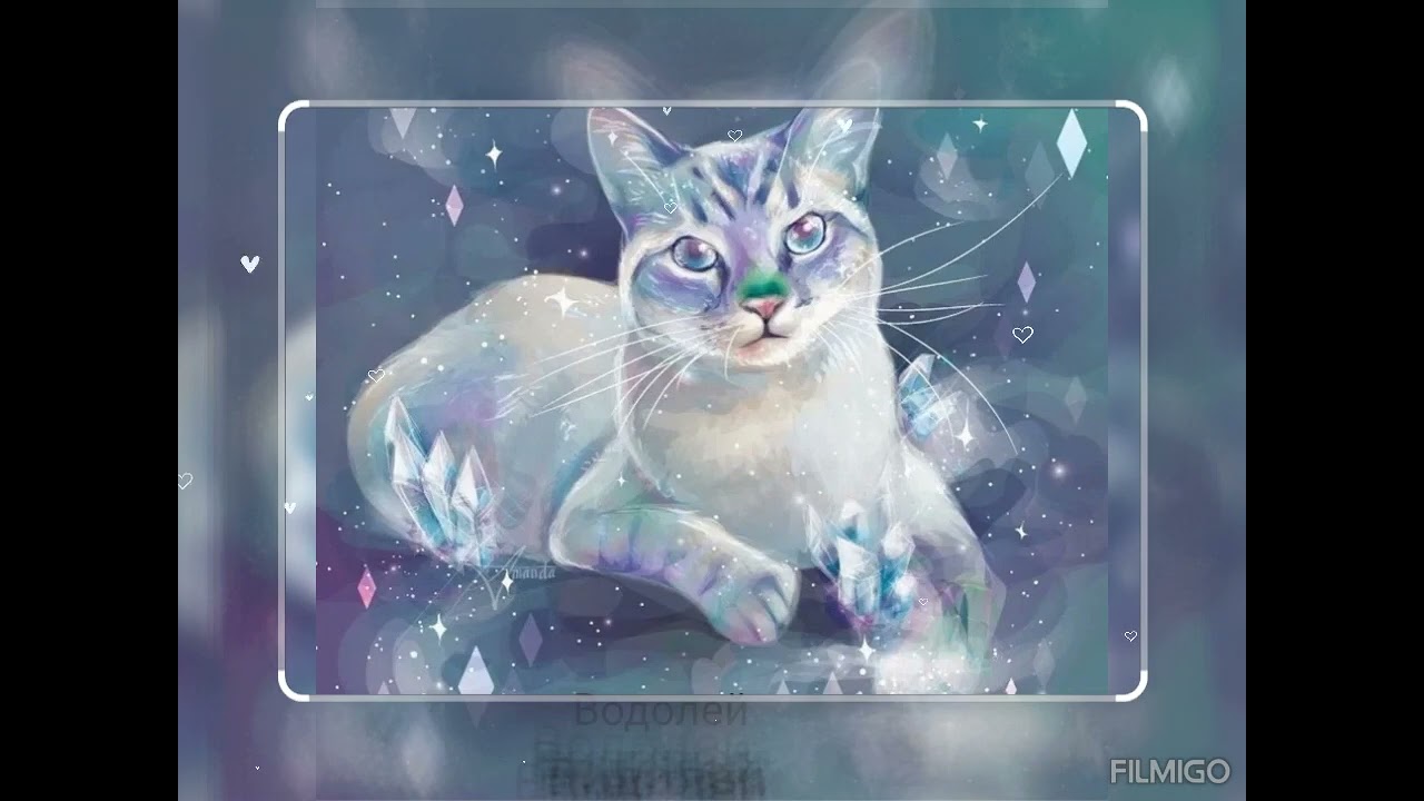 волшебные коты