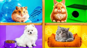Строим Домики для Животных # Сумасшедший Челлендж от