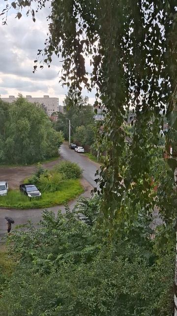 Дождик.