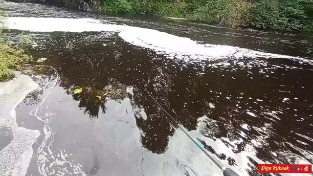 Рыбалка как она есть(история поимки одной щучки)🎣🐊👍🏻