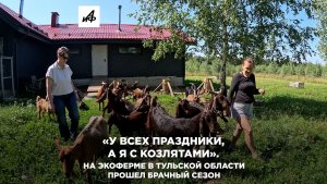 «У всех праздники, а я с козлятами». На экоферме в Тульской области прошел брачный сезон