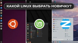КАКОЙ LINUX ВЫБРАТЬ НОВИЧКУ? Краткий обзор и сравнение Ubuntu, Linux Mint и ZorinOS