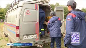 Почти 40 человек пропали в вологодских лесах с начала лета текущего года