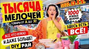 Привет Я Индия-  попала в хозяйственный РАЙ! ЗДЕСЬ ЕСТЬ ВСЕ СТО МНЕ НУЖНО!