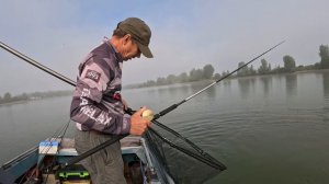 Крупные щуки на городском пляже на петухо-мыш.