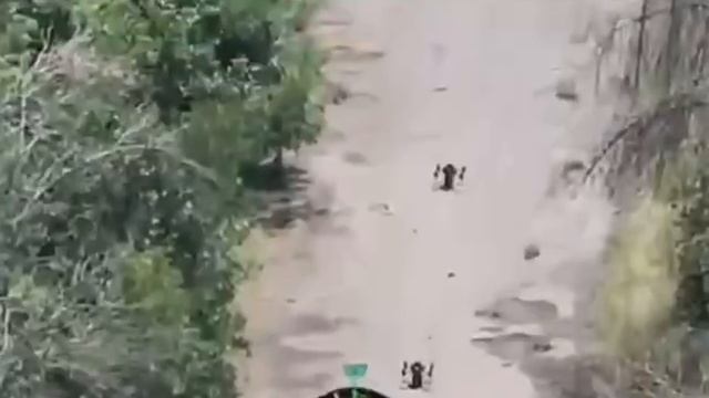 ������� ������� ���������� ������-������ �� ��������� �������