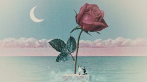 Tove Lo - des fleurs x stromae (Official Video)