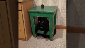 10 табуреток
