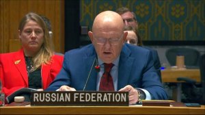 В.А.Небензя в СБ ООН об угрозе международному миру и безопасности со стороны ИГИЛ, 5 августа 2026