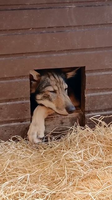 Мне этот мир абсолютно понятен...