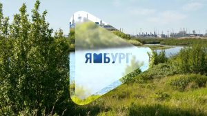 8 августа / Программа о людях и делах компании «Газпром добыча Ямбург»