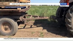 В селе Новозуевка Красногвардейского района началась подготовка полей к сбору арбузов