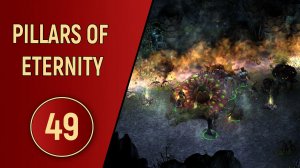 PILLARS OF ETERNITY - ЧАСТЬ 49 - СТРАННЫЙ НАРОД