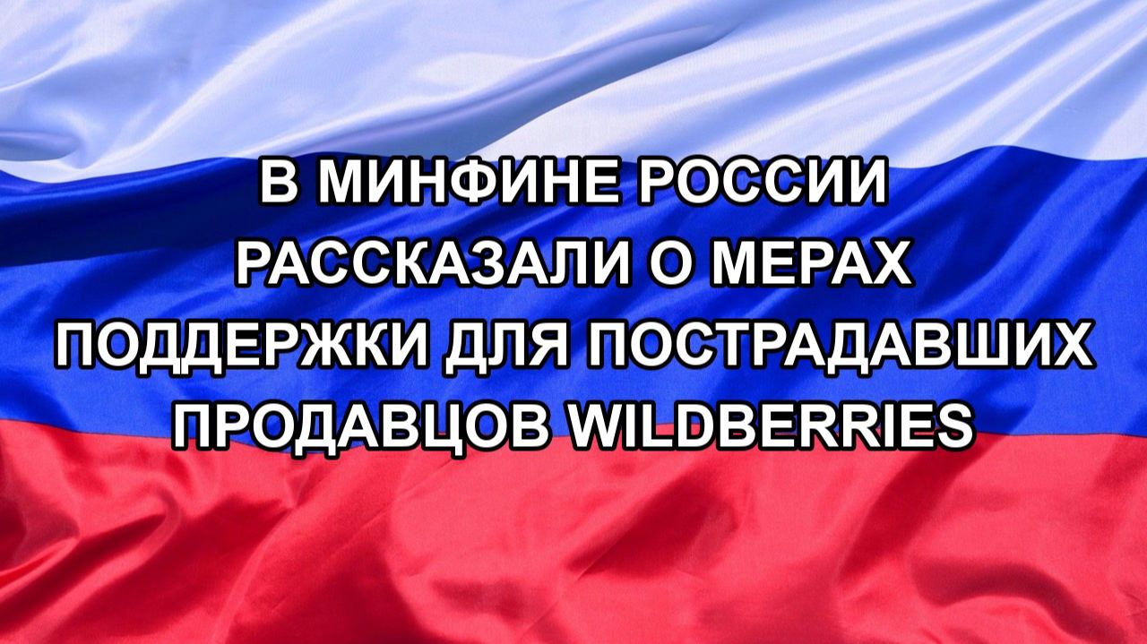 Н. РФ В Минфине России рассказали о мерах поддержки для пострадавших продавцов Wildberries