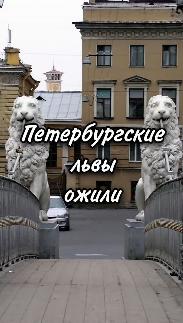Петербургские львы ожили