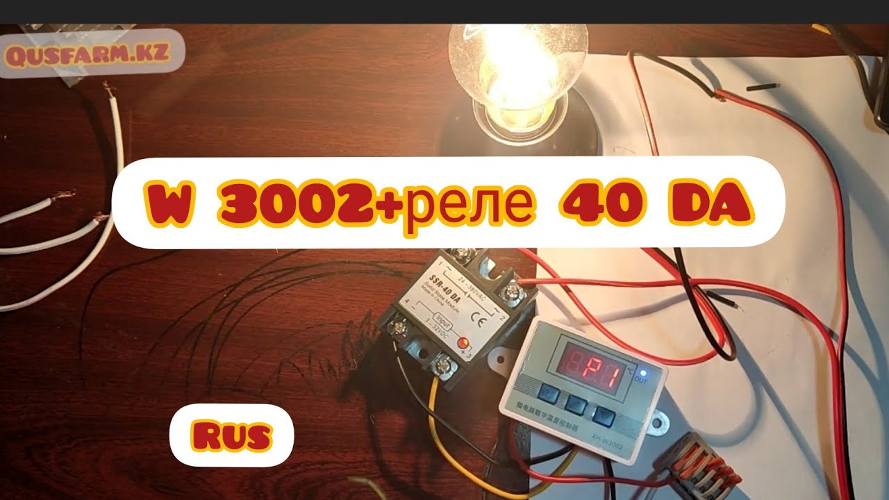 Терморегулятор W3002 подключения и программирование реле твердотельное 40 SSR