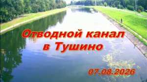Отводной канал в Тушино. 07.08.2026.