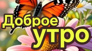 Доброе летнее утро. Красивая музыкальная открытка.