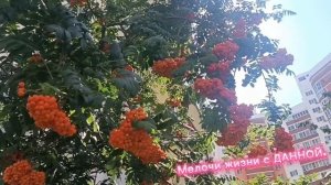 **Я НЕ ПРОШУ**СИЛЬНАЯ ПЕСНЯ. ПРОСТО❤😘 .... ПОСЛУШАЙТЕ ДУШЕВНо.СО МНОЙ ПО РАЙОНУ.