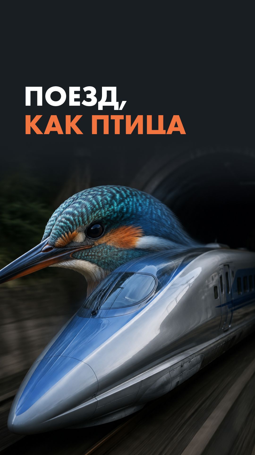 Поезд, как птица